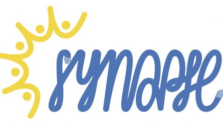 Journée d'étude SYNAPSE