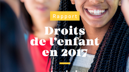 Rapport 2017 du Défenseur des Droits 